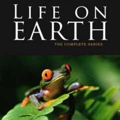 Rregula & Dementia - Life On Earth (SønicƁlåst Remix)