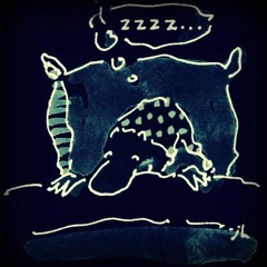 Dormir...