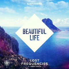 Lost Frequencies - Beautiful Life (Théo Coni Remix)
