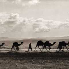 لما أناخو قبيل الصبح عيسهم ~ مقام كرد