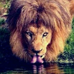 blazy X kenje.dépassé[C03 Studio] 2014[makett].mp3