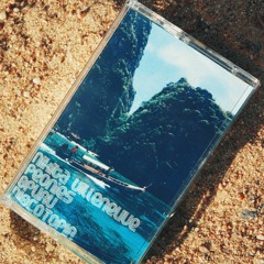 Nikita Villeneuve, Peonies, Spurv, Discotopia - Embrace EP - TAPE OUT NOW!