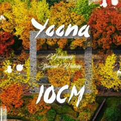 Yoona & 10cm - Deoksugung Stonewall Walkway(Remix)