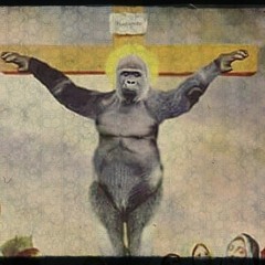 Dicks Out For Harambe