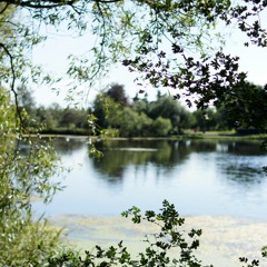 White Sands And Clear Waters