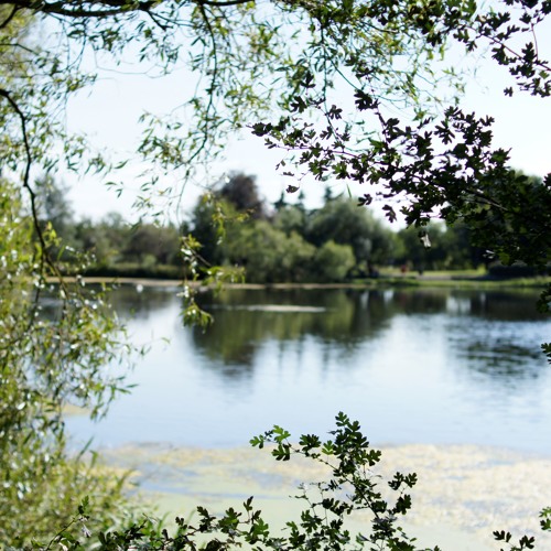 White Sands And Clear Waters