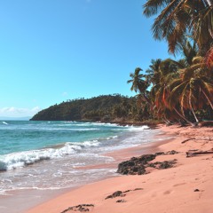 Vereda Tropical - (Gonzalo Curiel)