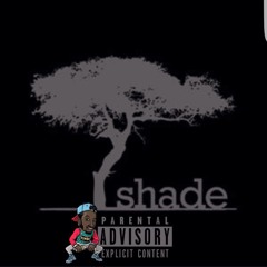 QTP -Shade