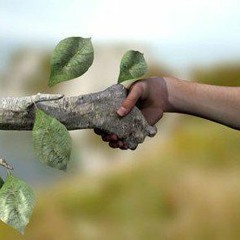 Un Autre Jour Sur Terre