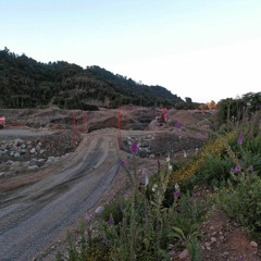 Goldminer