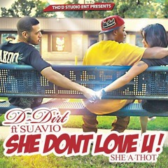 She Dont Love You (She a Thot) ft Suavio