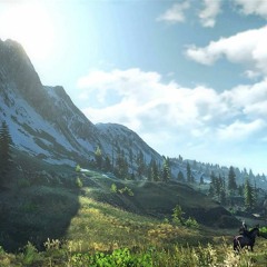 The Witcher 3- Wild Hunt OST - The Fields Of Ard Skellig