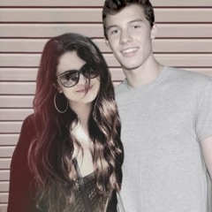 I Want You To Know What You Did Last Summer - Shawn Mendes vs. Selena Gomez