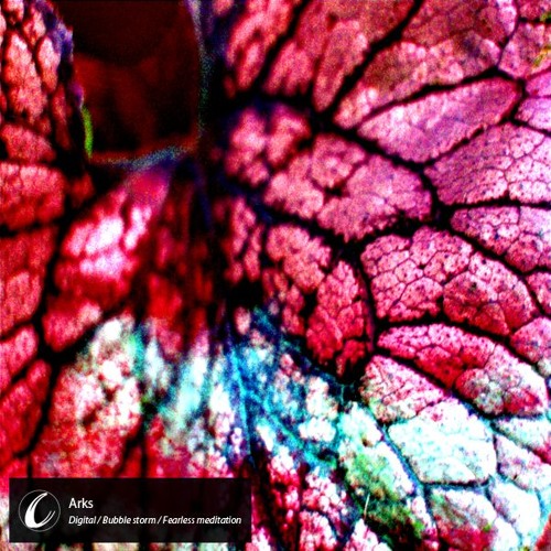 Arks - 'Digital' / 'Bubble storm' / 'Fearless meditation'