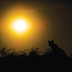 Dark Side Of The Sun (prod.by G.cal)