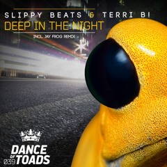 DOT039 : Slippy Beats & Terri B! - Deep In The Night (Jay Frog Remix)