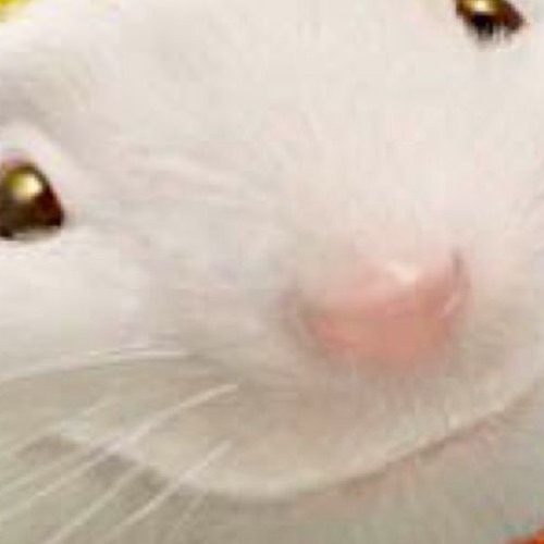 Famous Dex x Stuart Little Type Beat (Prod. by Steve from Minecraft)