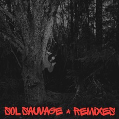 Jonwayne - Jumpshot [Sol Sauvage Remix]
