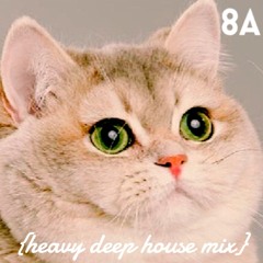 Heavy Deep House Mix