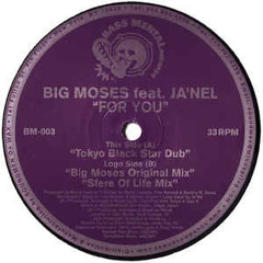 Big Moses - For You (Sfere Of Life Mix)