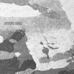 Entropic Hands - Untitled
