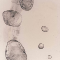Roop(excerpt)