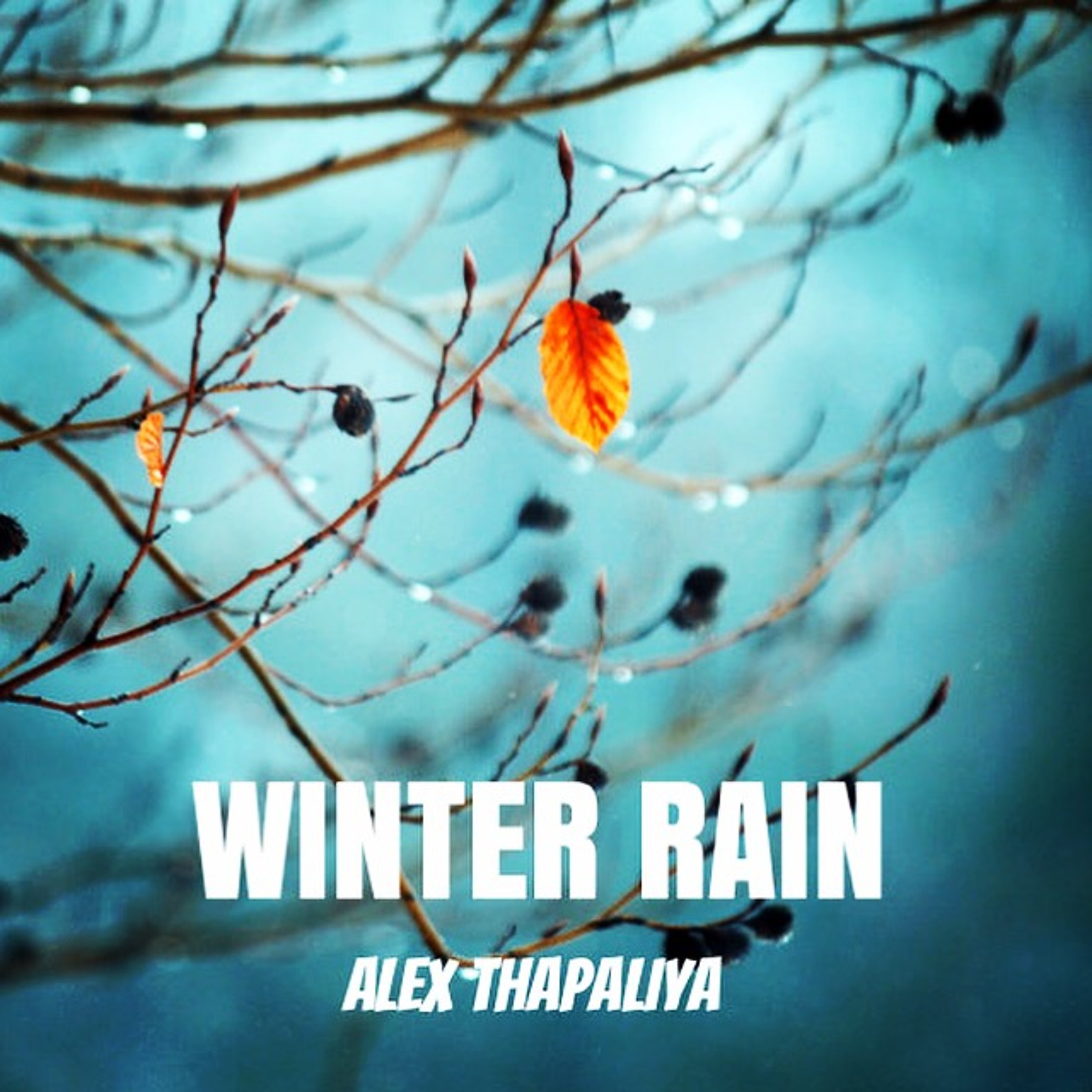 Alex Thapaliya (DJ ALEX THAPALIYA)