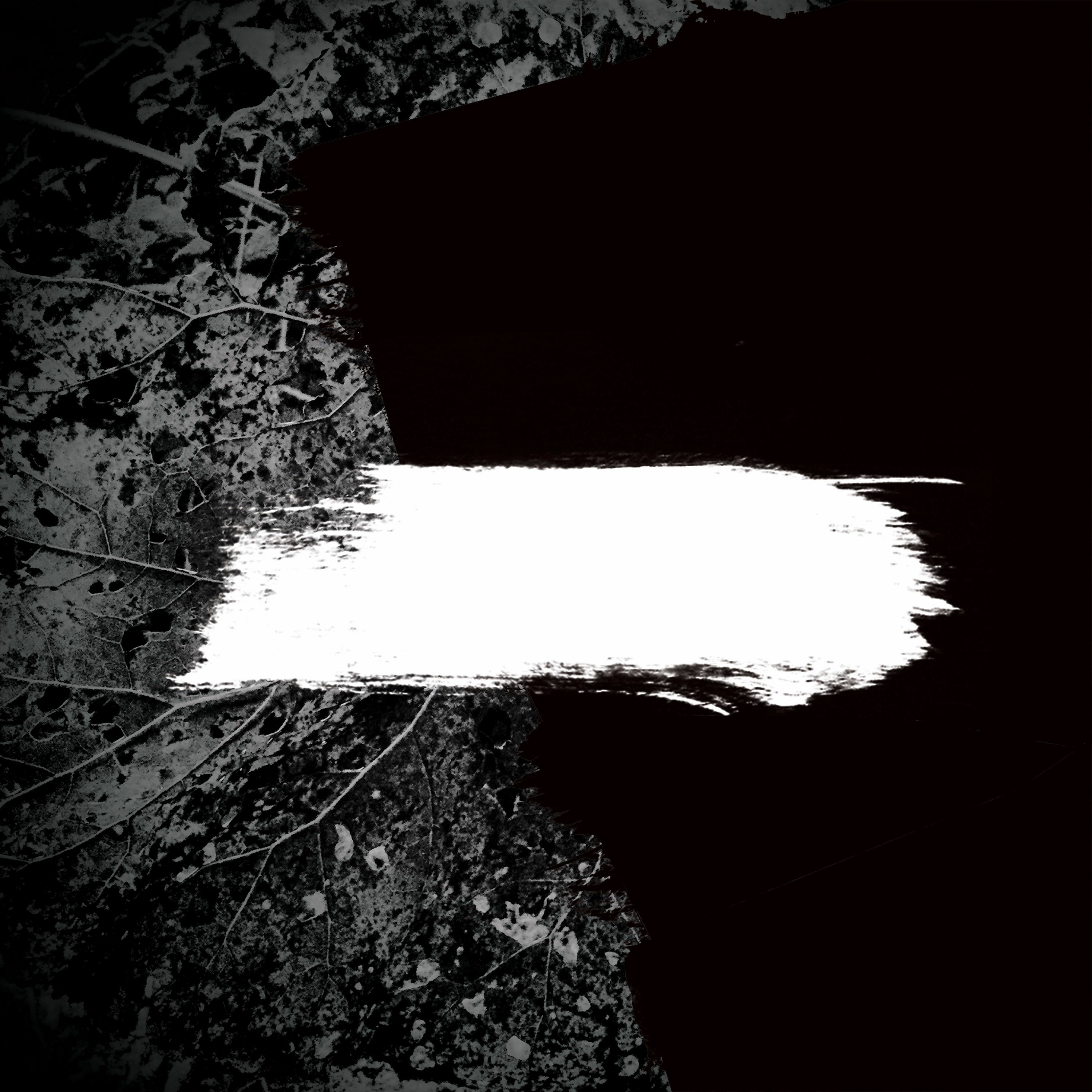Nutriot Recordings