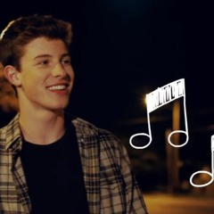 Show You- Shawn Mendes