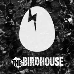 Dirtybird birdhouse - WHOAMI in the mix