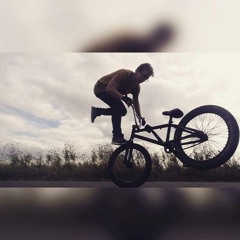 The Mechanic ( Chickasaw Mudd Puppies - Chickenbone )