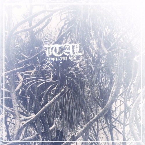 Upfront 080: Ital