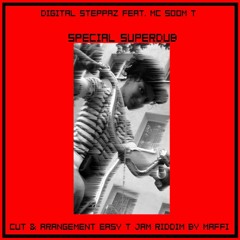 Digital Steppaz feat. Mc Soom T - Special Superdub