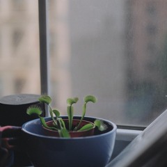 Abundance [ISO] (Raw Master)