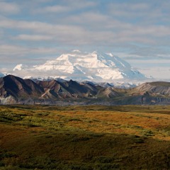 Orchestral Works and Symphonic poems