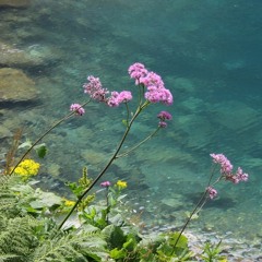 Testament: Prośba 15 - Szczerość względem przełożonych