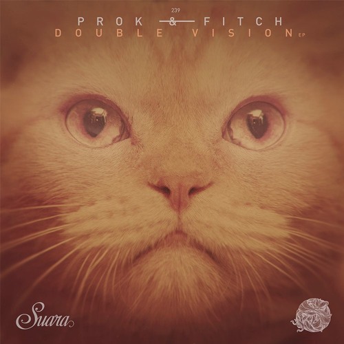 Premiere: Prok & Fitch - Pitch Roll (Original Mix)