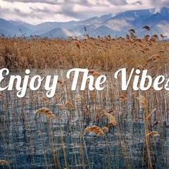 Joey Valence - Go Away