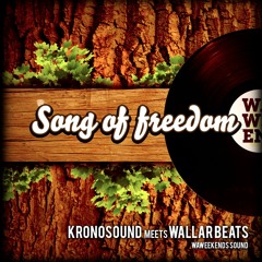 KRONOSOUND - SONG OF FREEDOM WallarBeats