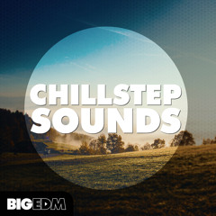 Chillstep Sounds [12 Construction Kits, MIDIs, 55 Bonus Top Loops & More] OUT NOW on Beaport!