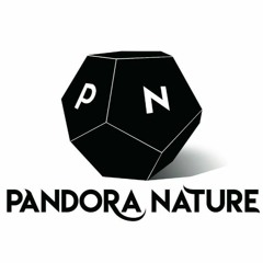 Pandora  - Pedro (Demo)