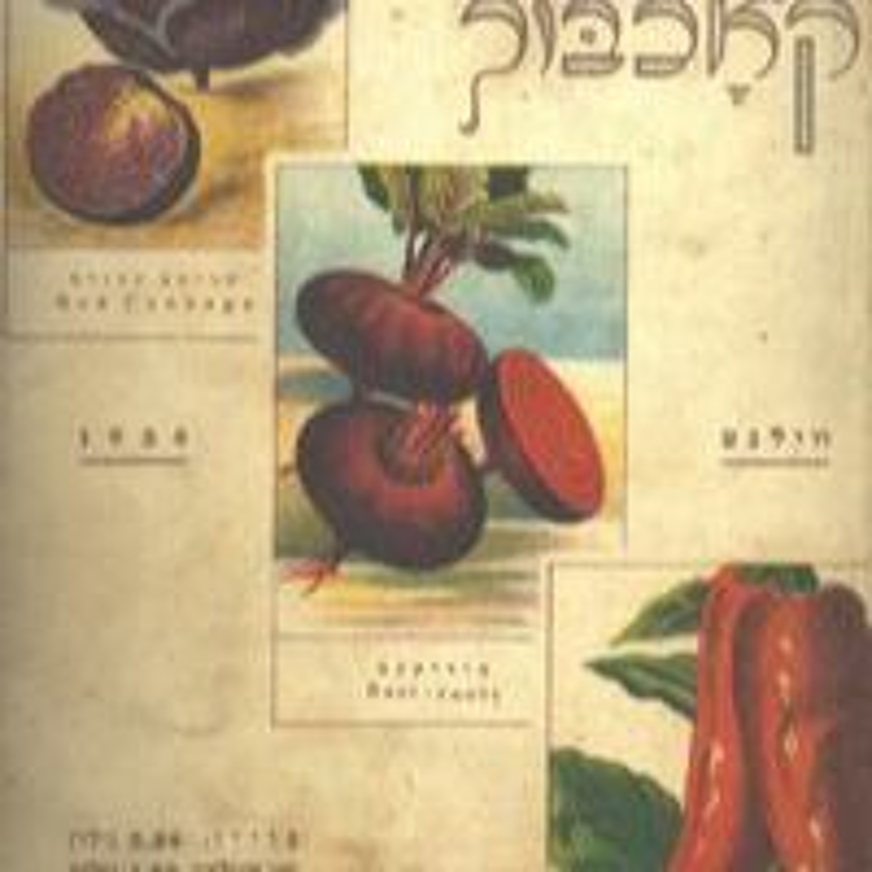 Episode 11, Eve Jochnowitz: Repopularizing a vegetarian chef, and favorite culinary memories episode artwork