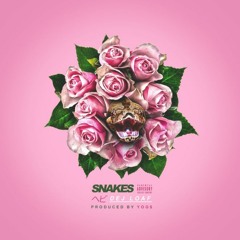 Dej Loaf - Snakes (DigitalDripped.com)