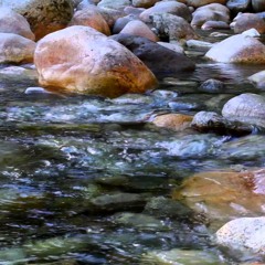 13 Stumbled Waters
