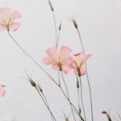 favorites from the wave