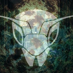 "Double Bubble - Ziz" - Coming soon on "Bugged Out" (The Bughouse Records)
