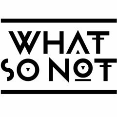 What So Not @ Splendour 2016 (LIVE)
