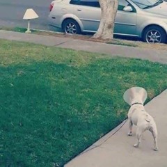 ⭐64 (160bpm edit) [FREE DOWNLOAD]