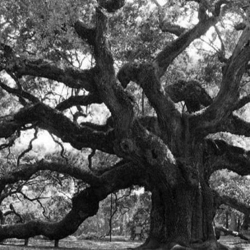 ROBLE