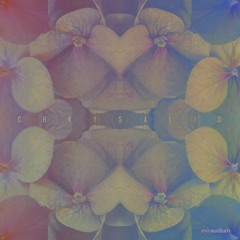 04. You've Passed [Welcome]